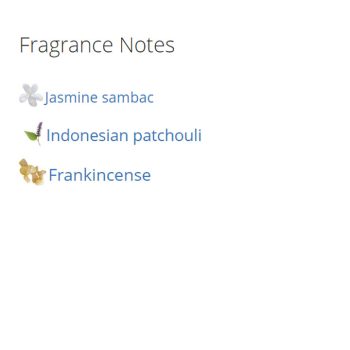 عطر ادکلن مردانه ژیان