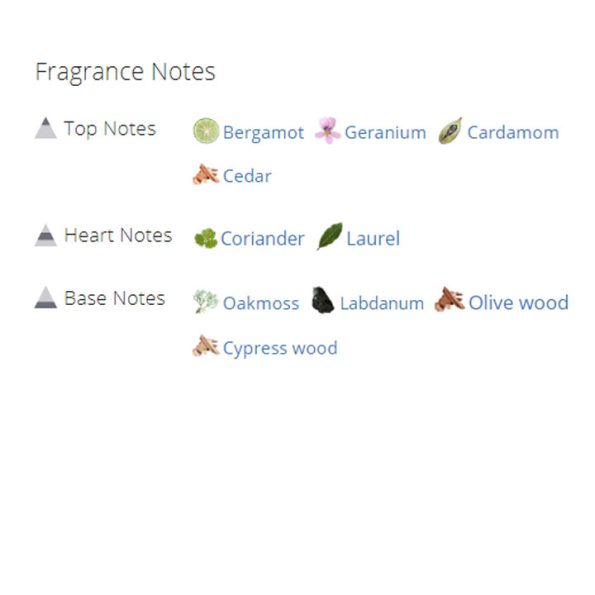 عطر ادکلن مردانه فندی لایف اسنس