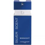 عطر ادکلن مردانه سیلور سنت میدنایت