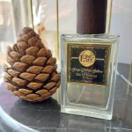 عطر ادکلن مردانه و زنانه تلیا