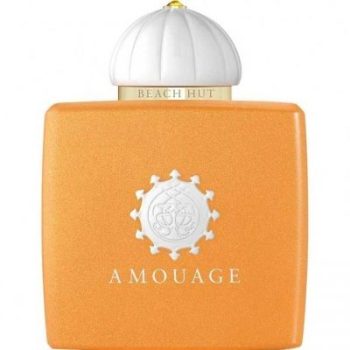 عطر ادکلن زنانه بیچ هات