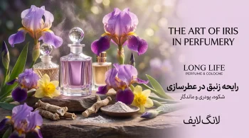 عطرهای گل زنبق