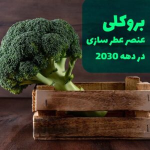 رایحه بروکلی در عطرسازی