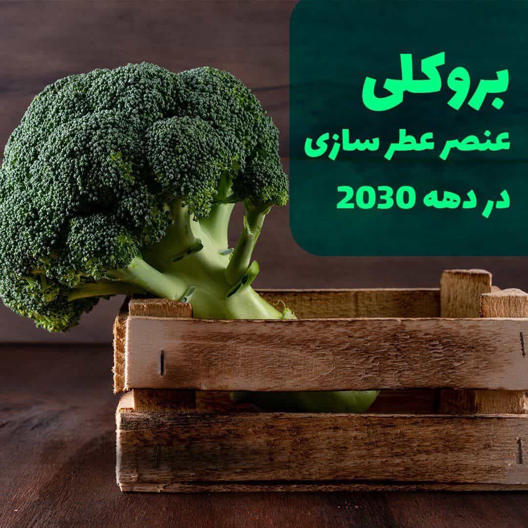 رایحه بروکلی در عطرسازی