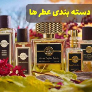 دسته بندی عطرها