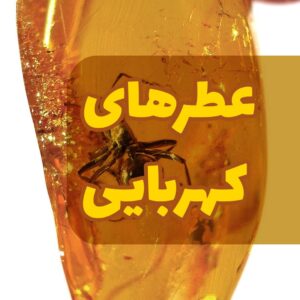 عطرهای کهربایی