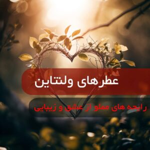 عطر ست مردانه و زنانه