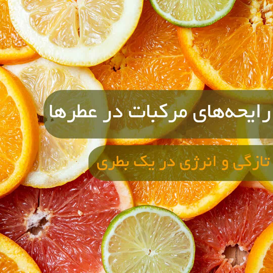 حس رایحه مرکبات
