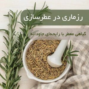 رزماری در عطرسازی