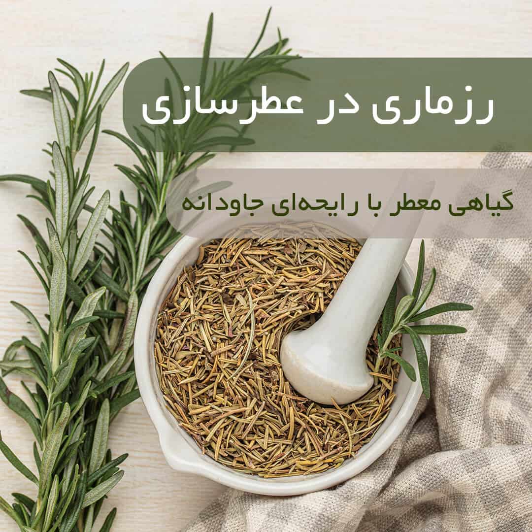 رزماری در عطرسازی