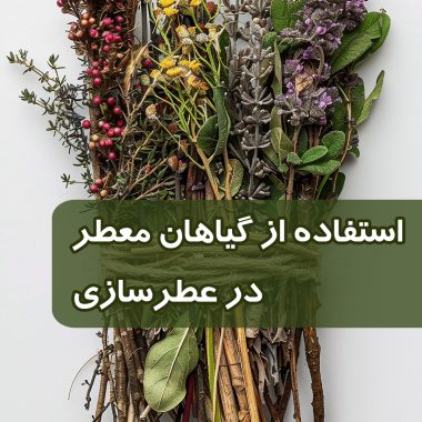 عطر و پوست چه رابطه ای با هم دارند؟