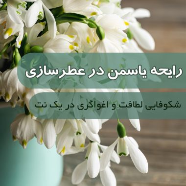 بهترین عطرهای شکلاتی