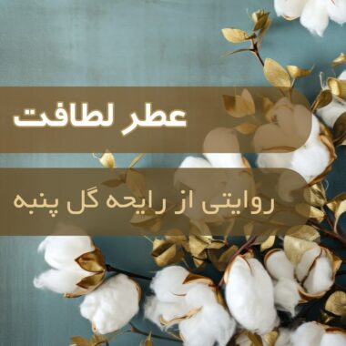 شکوفه‌های معطر اقاقیا در عطرسازی؛ رایحه‌ای لطیف و فراموش‌نشدنی