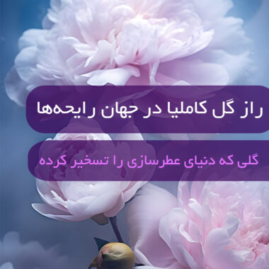 عطرهای برند Xerjoff