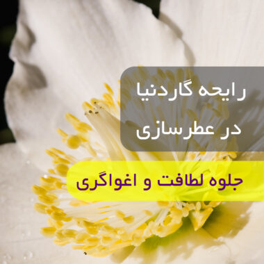 عطرهای برند Xerjoff