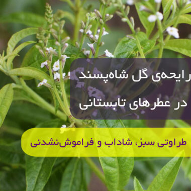 عطرهای برند Xerjoff