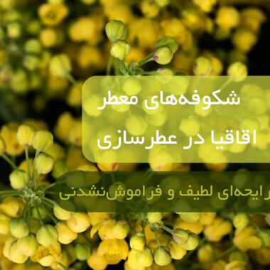 عطرهای برند Xerjoff