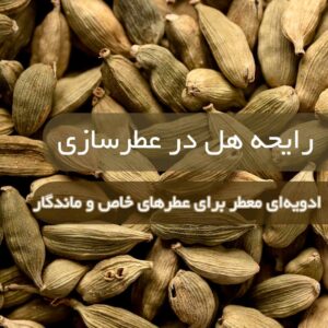 رایحه هل در عطرسازی