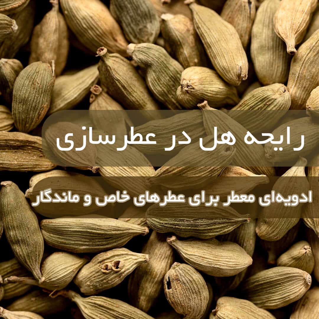 رایحه هل در عطرسازی
