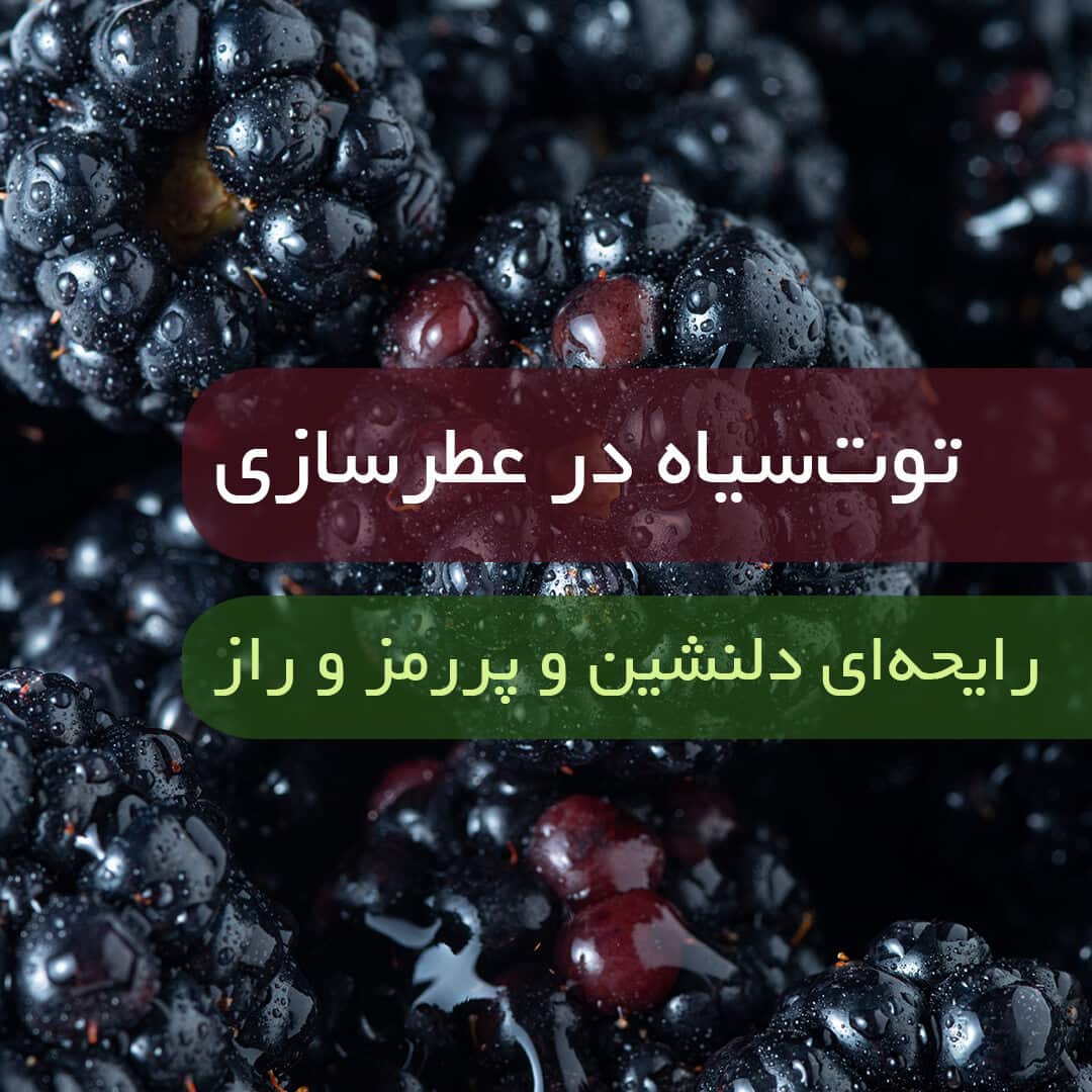 رایحه توت سیاه در عطرسازی