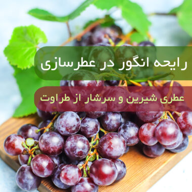 رایحه بلوط در عطرسازی: اصالت، قدرت و ماندگاری