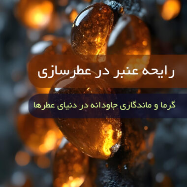 رایحه بلوط در عطرسازی: اصالت، قدرت و ماندگاری