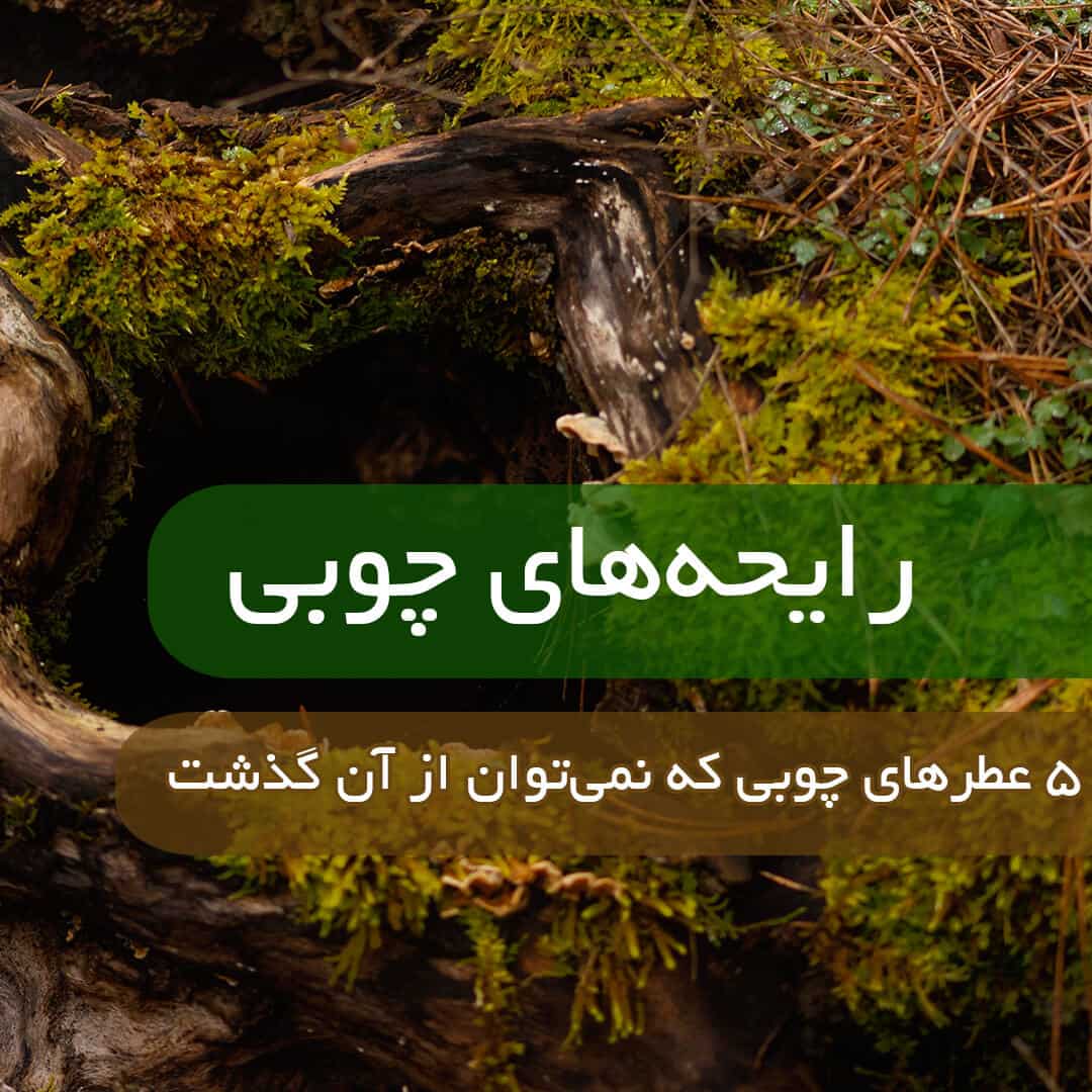 عطر با بوی چوب