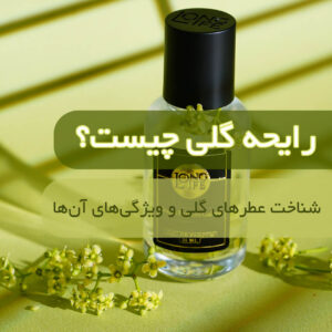 رایحه گلی چیست